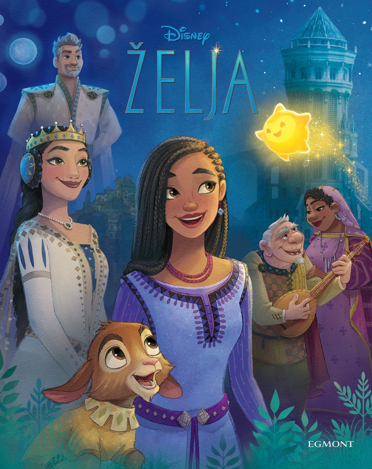 DISNEY ŽELJA