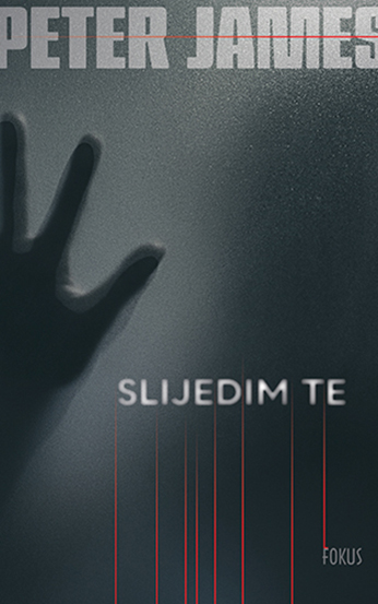 Slijedim te