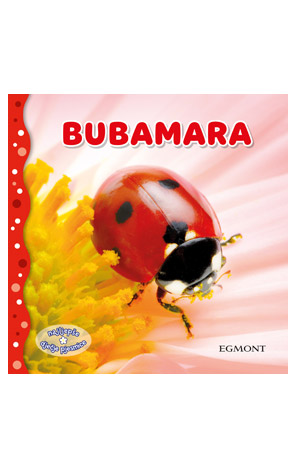Bubamara